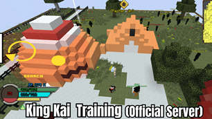 Official Server