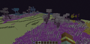 chorus forest
