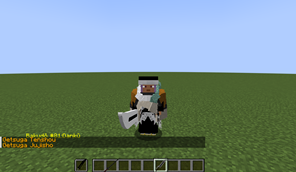 hado and zangetsu skills