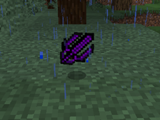 image5.png