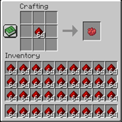 A dream comes true
