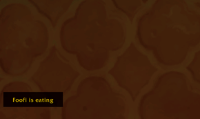 ta_01.gif