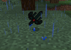 image10.png