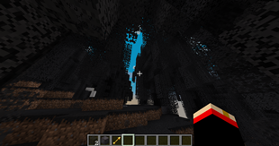 Dark woods