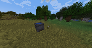[Teaser 2] Cooking Possibilities.png