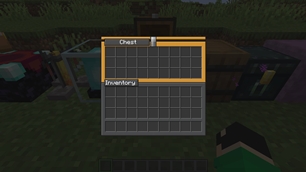 Chest