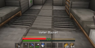 Hotbar and Healthbars
