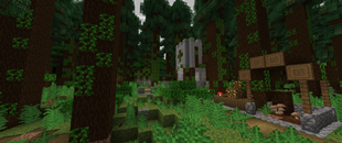 Forest Village