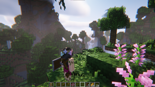 Amplified terrain and default visuals