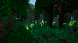 forest_M.png