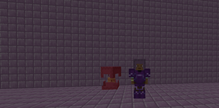Anti Shulker