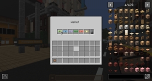 Wallet.jpg