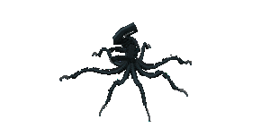 Squidxenomorph