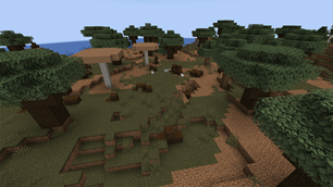 Desolate Dark Forest