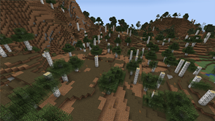 Desolate Birch Forest