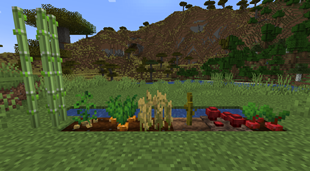 Crops-3D-Reploughed
