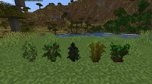 Saplings-3D-Replanted