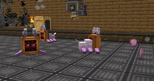 Pie "Monsters" and Cotton Candy