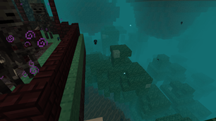netherbiome.png