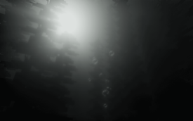Underwater