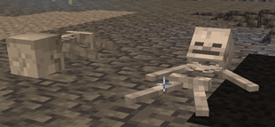 New Dead Skeleton Variation