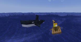 whale.png