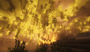 The Lush Caves