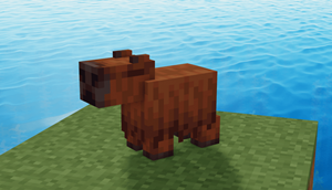 Capybara