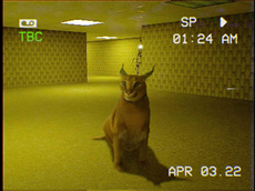 Floppa backrooms.webp