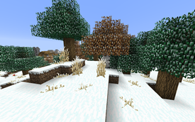Everything Looks Snowy