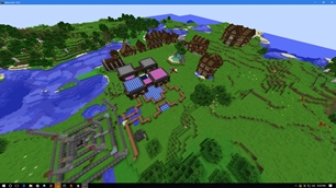 the village