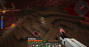 Nether