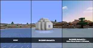 Ice plains igloo
