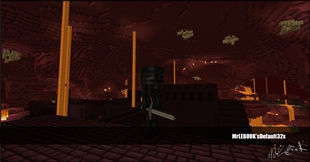 Nether forteress