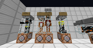 Skeleton and Wither Skeleton