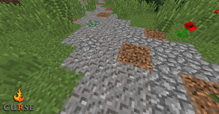 A path