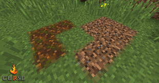Podzol and coarse dirt