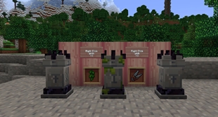 wraith waystone variants