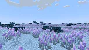 One Biome In The Everbright Dimention