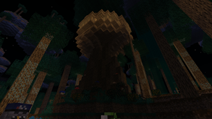 The Tree Haus