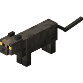cat.png