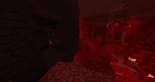 Crimson Forest + Nether Fortress