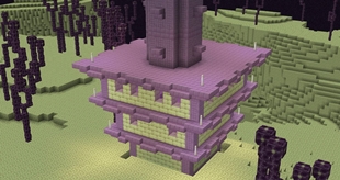 End City + Chorus Fruit