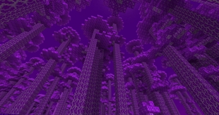 Tall Ucimia Mushrooms