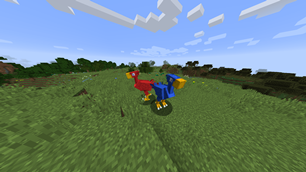 Chocobos