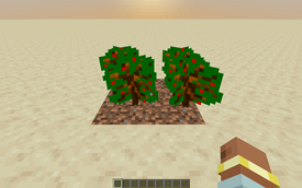 Pepper plants