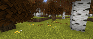 birch_forest_after.png