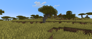 savanna_before.png