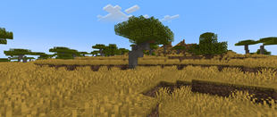 savanna_after.png