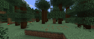 taiga_before.png